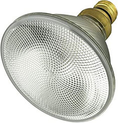 Light Bulbs
