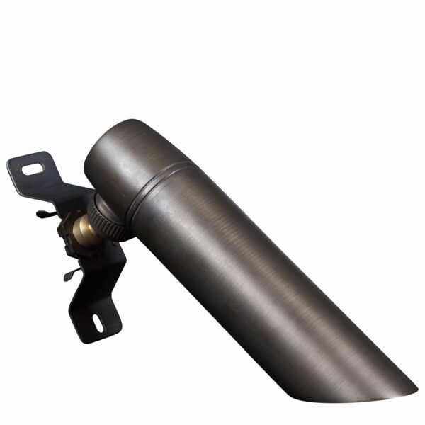 Brass Wally Toucan Light