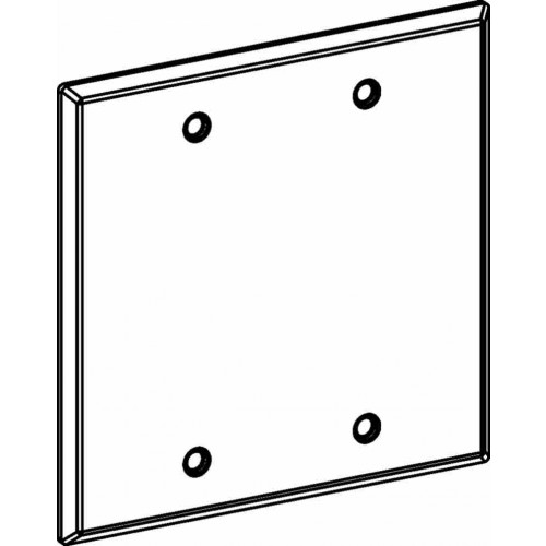 2-G W/P STEEL BLANK COVER - BR